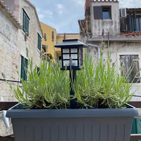 Apartman Fancy Old Town Split